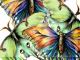 OUTDOOR CANVAS PASTEL BUTTERFLY #2